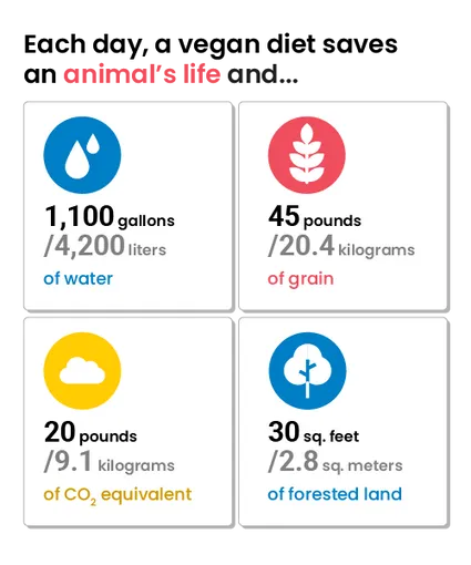 Vegan Footprint